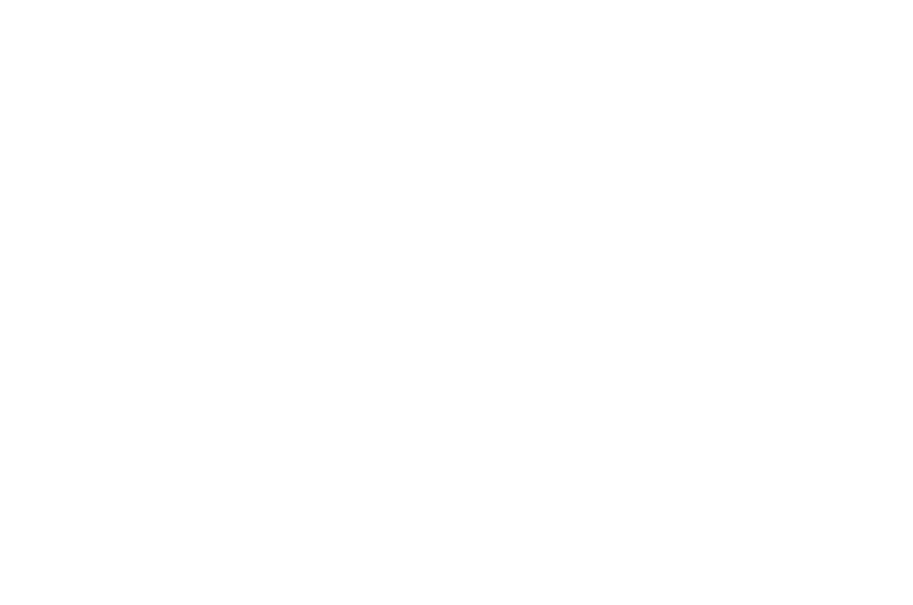 Official Selection — Revelation Perth International Film Festival 2026