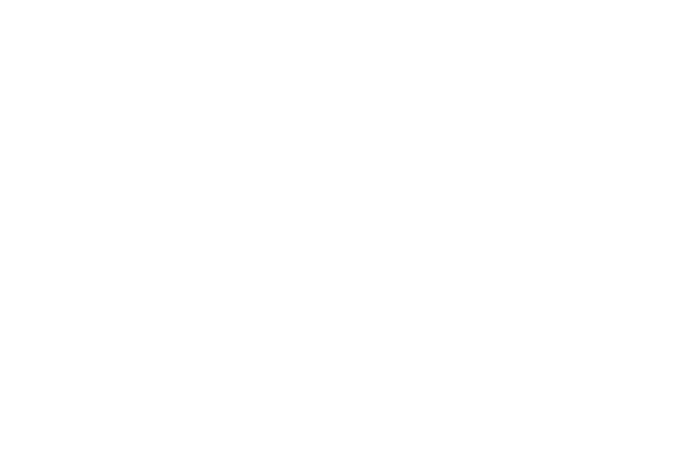 Official Selection — Way Out West Film Fest 2026